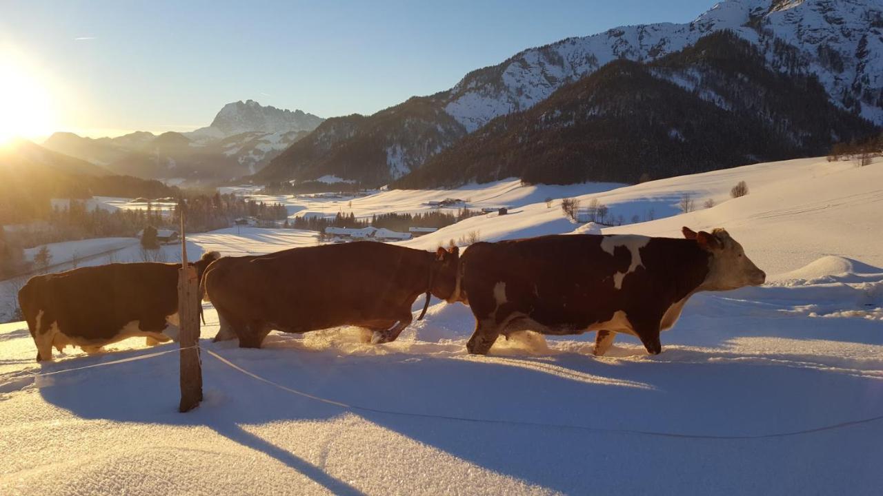 Bommerhof Waidring Esterno foto