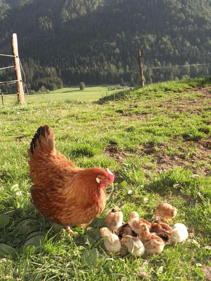 Bommerhof Waidring Esterno foto