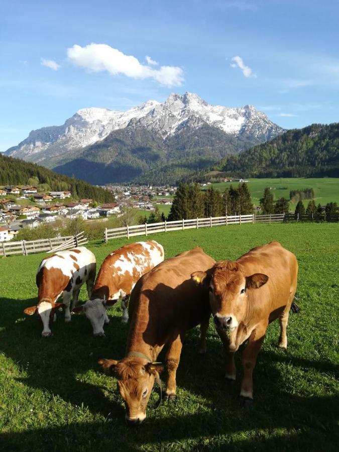 Bommerhof Waidring Esterno foto